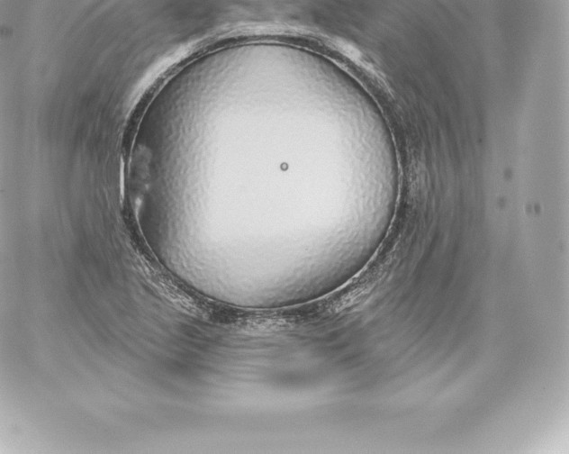 X0000060241221200511111921