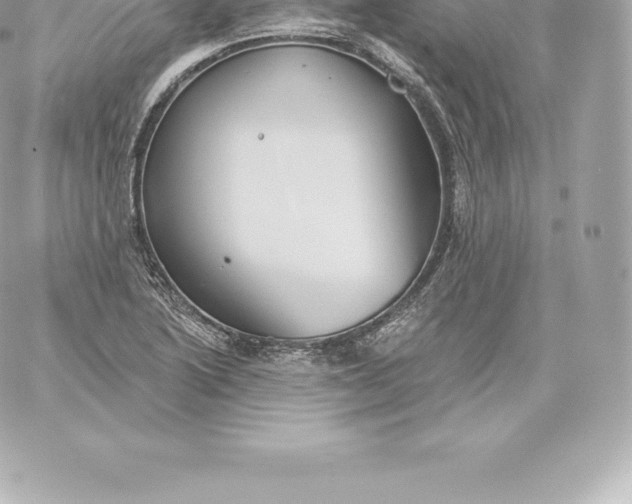 X0000060241222200511111921