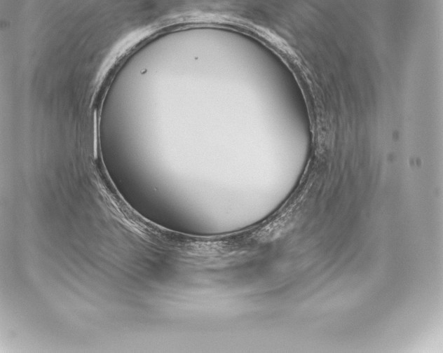 X0000060241223200511111921