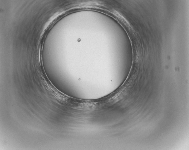 X0000060241224200511111921