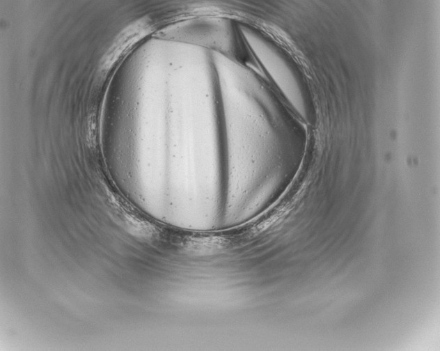 X0000060241225200511111921