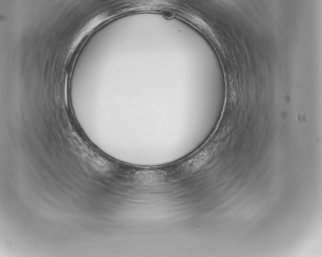 X0000060241227200511111921