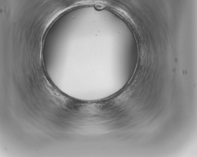 X0000060241228200511111921