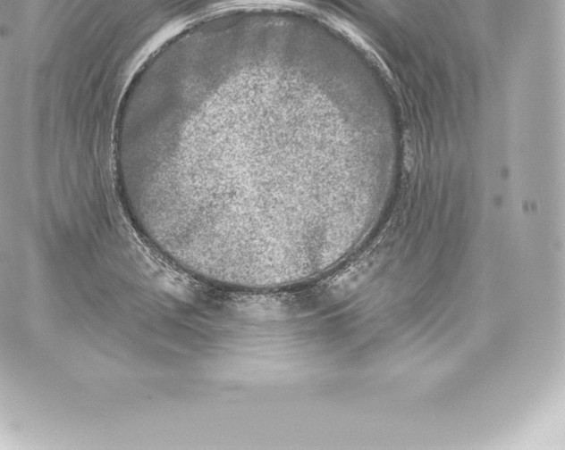 X0000060241229200511111921