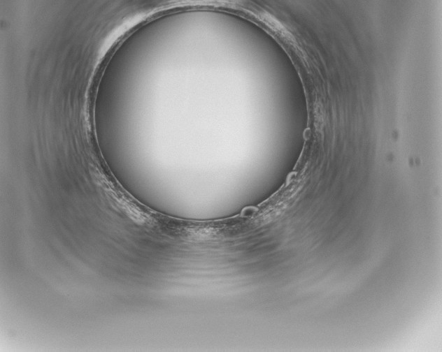 X0000060241230200511111921