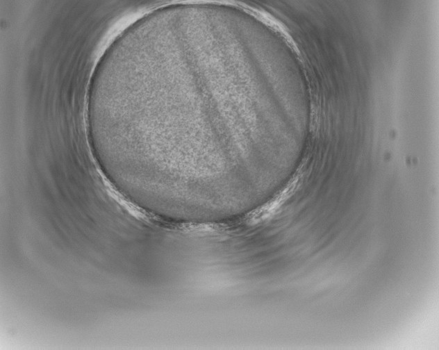 X0000060241231200511111921