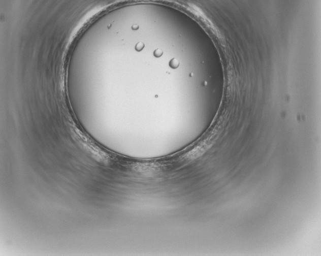 X0000060241232200511111921