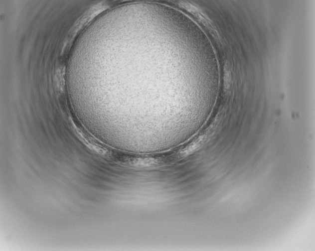 X0000060241233200511111921