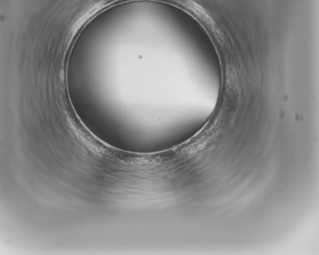 X0000060241234200511111921