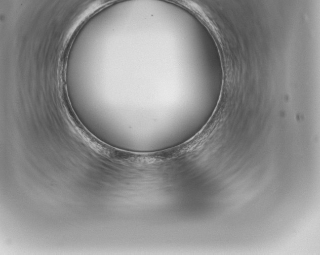 X0000060241235200511111921