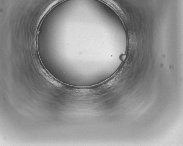 X0000060241236200511111921