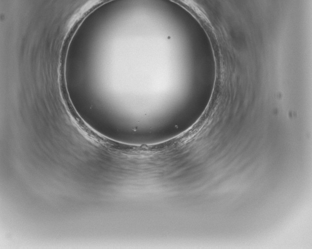 X0000060241237200511111921