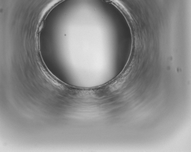 X0000060241238200511111921