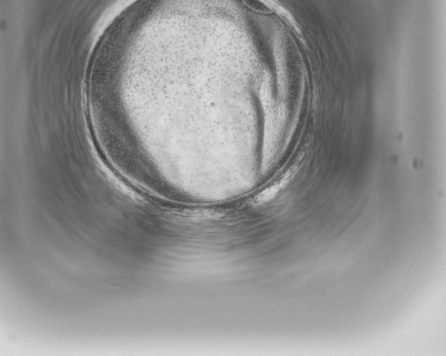 X0000060241239200511111921