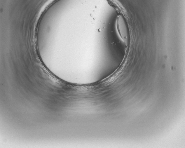 X0000060241240200511111921