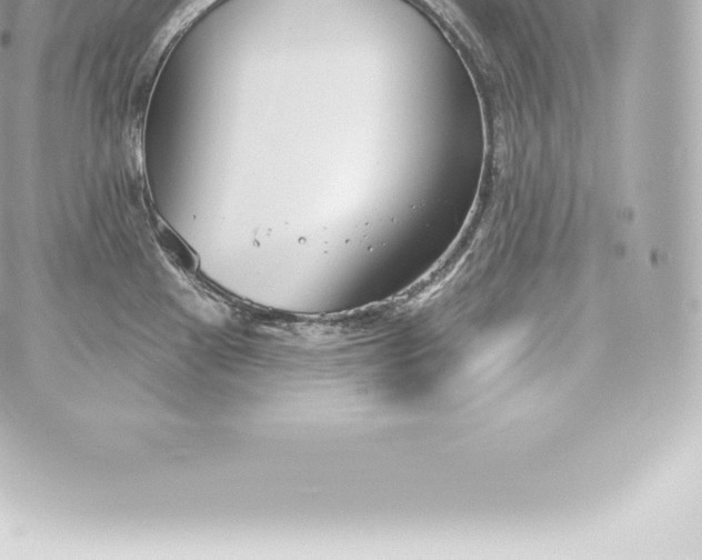 X0000060241241200511111921