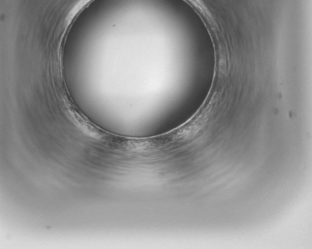 X0000060241242200511111921