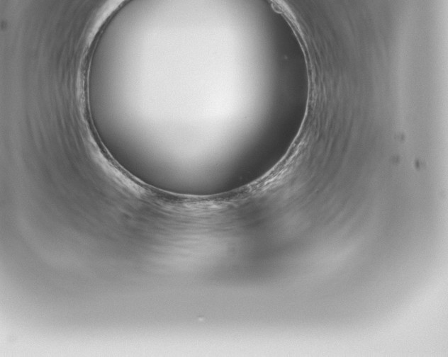 X0000060241243200511111921