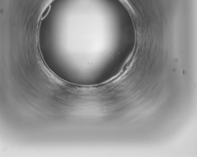 X0000060241244200511111921