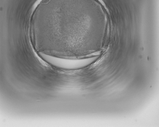 X0000060241245200511111921