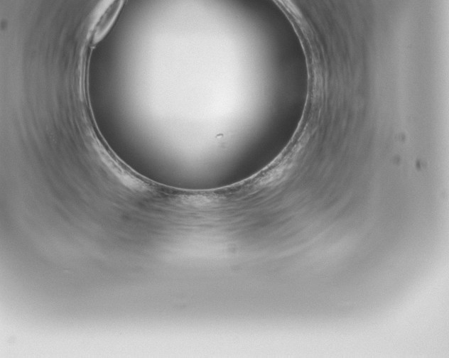 X0000060241246200511111921