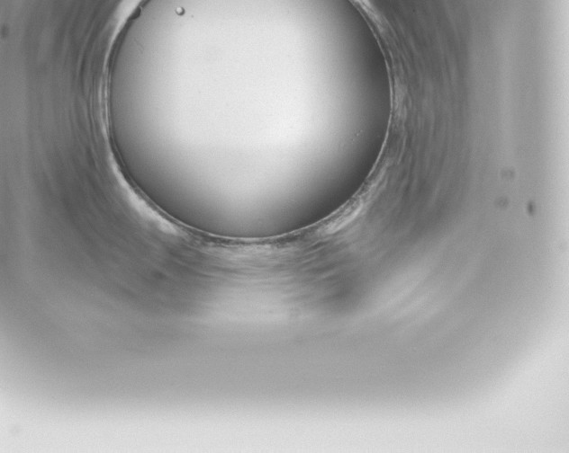 X0000060241247200511111921