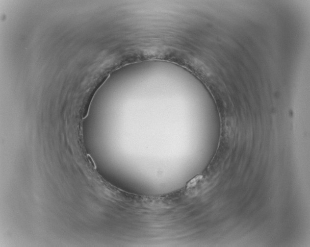 X0000060241249200511111920