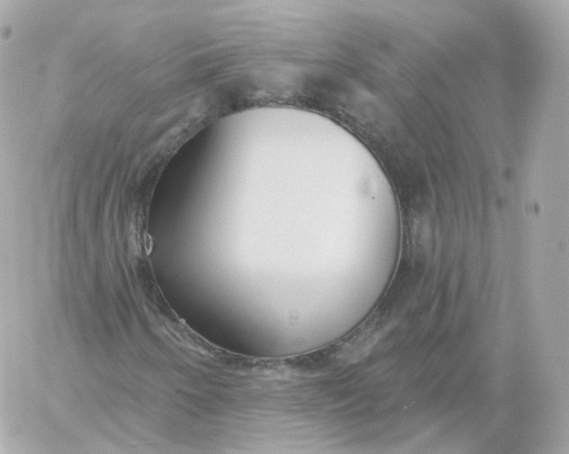 X0000060241250200511111920