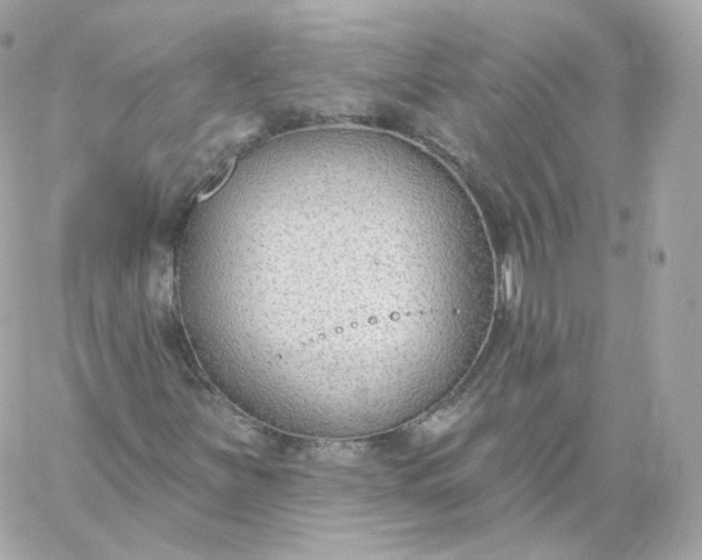 X0000060241251200511111920