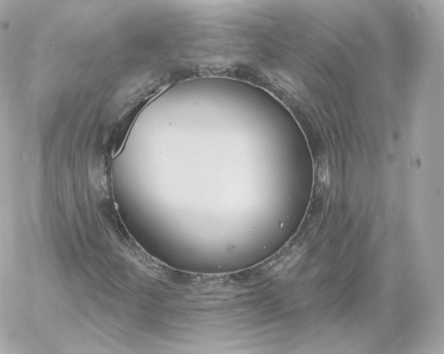 X0000060241252200511111920