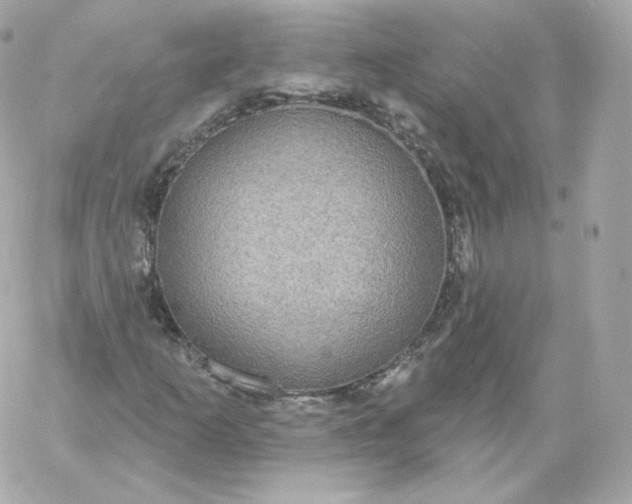 X0000060241253200511111920