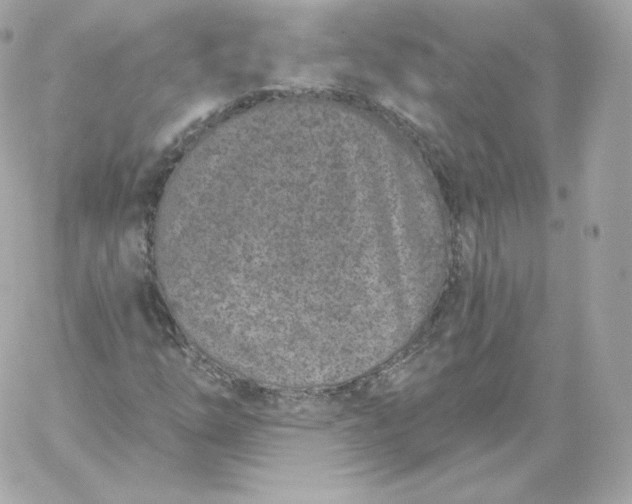 X0000060241254200511111920