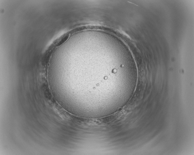 X0000060241255200511111920