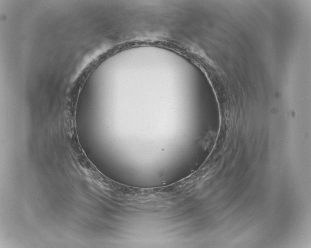 X0000060241256200511111920