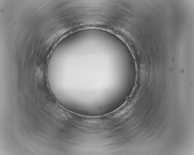 X0000060241257200511111920