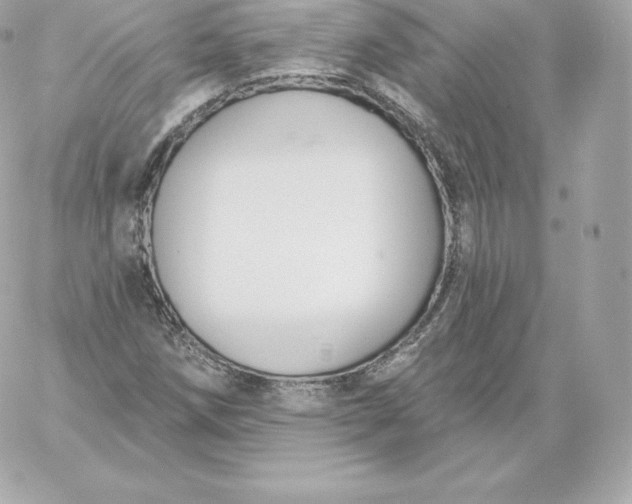 X0000060241258200511111920