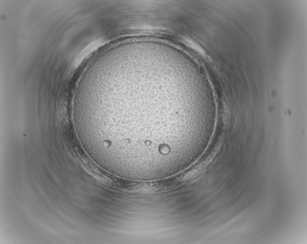 X0000060241259200511111920