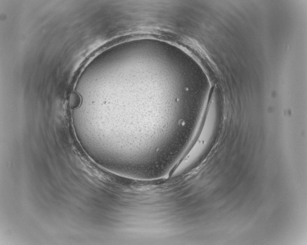 X0000060241260200511111920