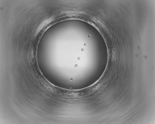 X0000060241261200511111920