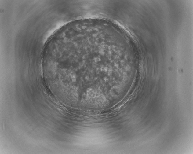 X0000060241262200511111920