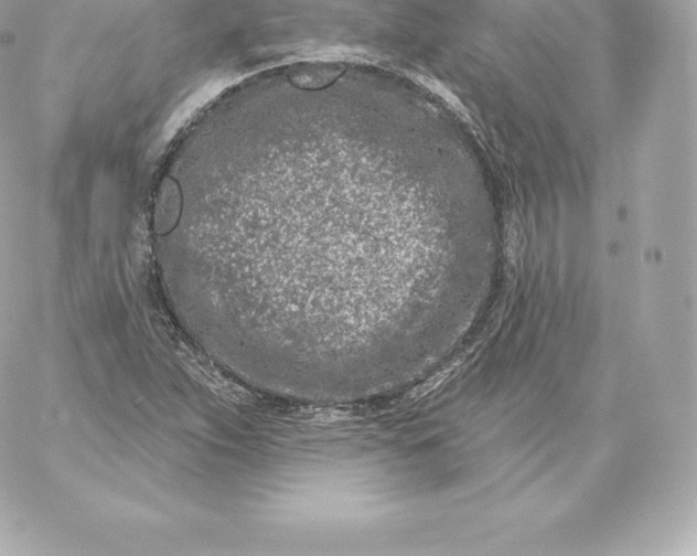 X0000060241263200511111920