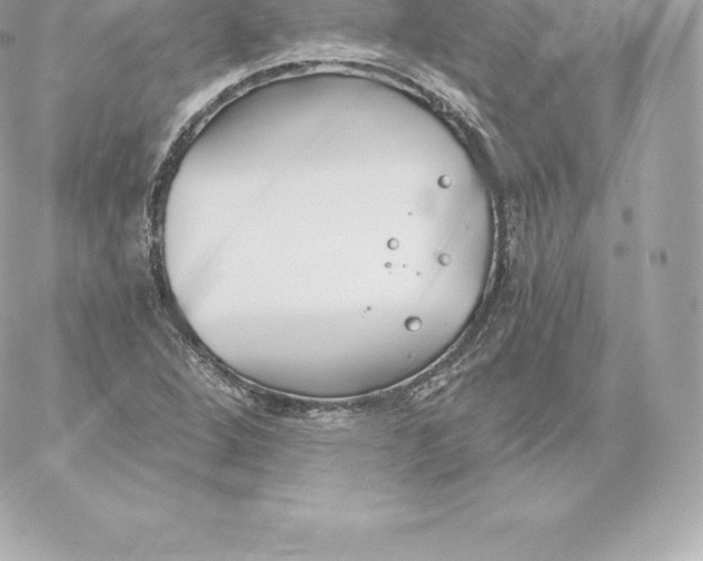 X0000060241264200511111920