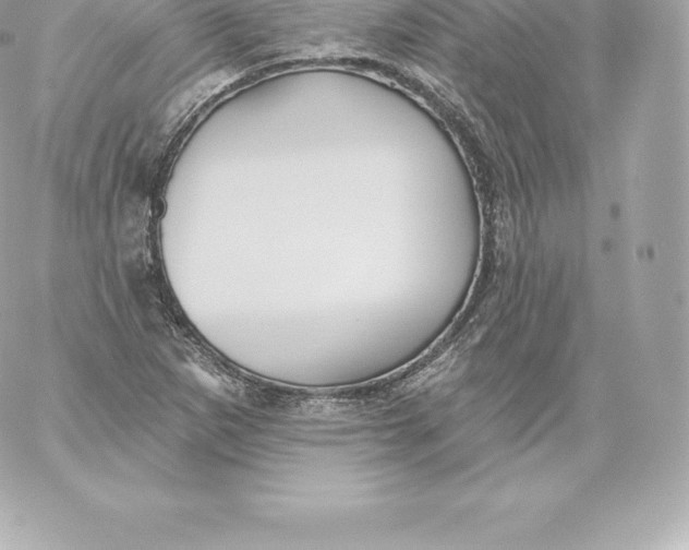 X0000060241265200511111920