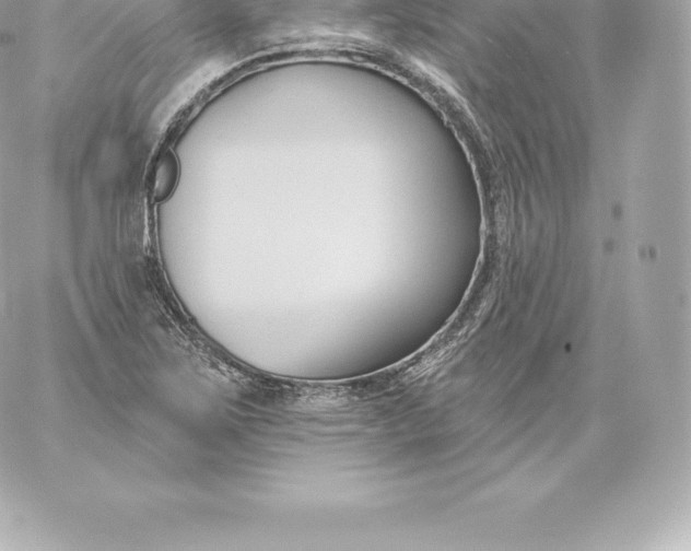 X0000060241267200511111920