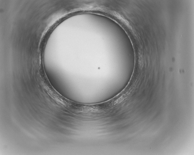 X0000060241270200511111920