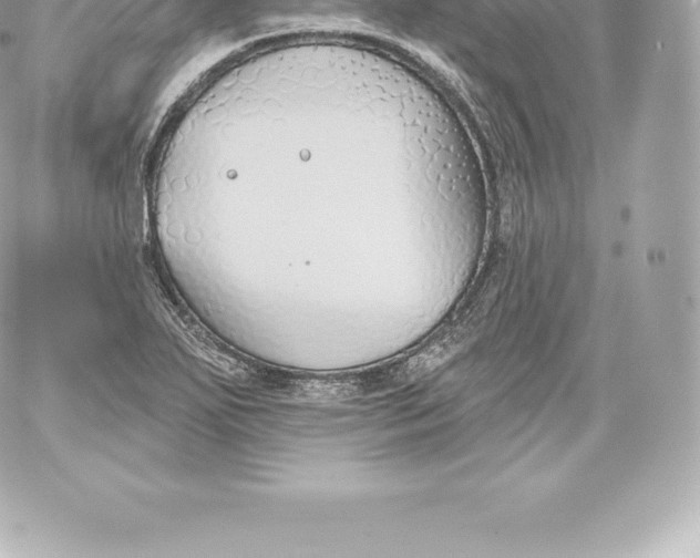 X0000060241271200511111920