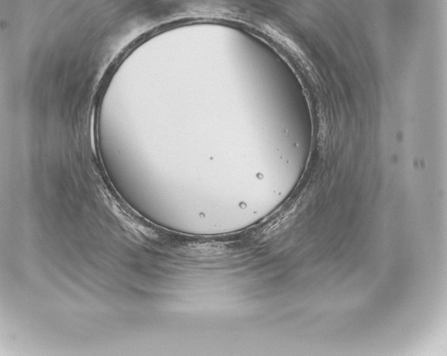 X0000060241272200511111920