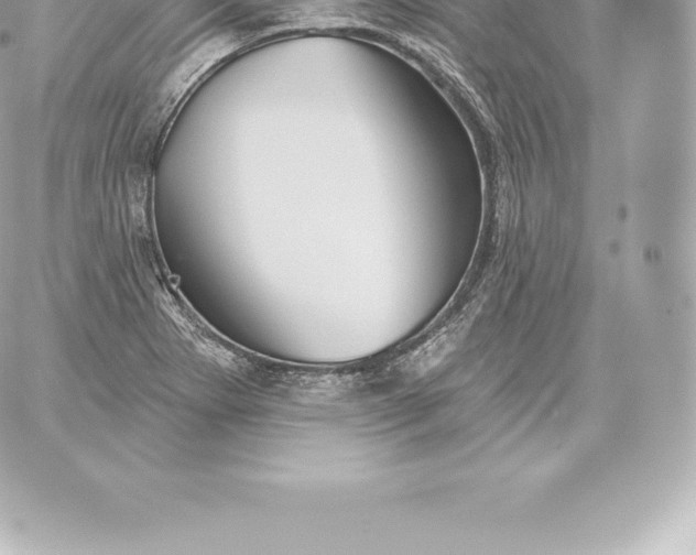 X0000060241273200511111920