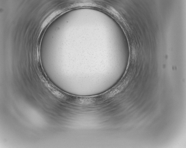 X0000060241274200511111920