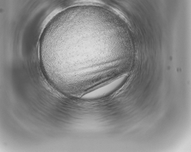 X0000060241275200511111920